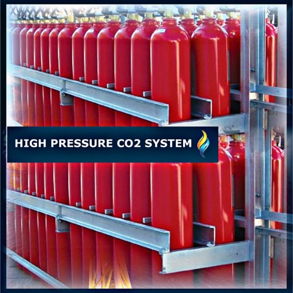 photo6057352378421718542