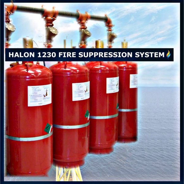 photo6057352378421718543