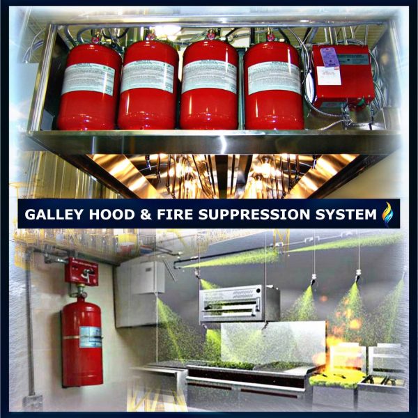 photo6057352378421718546