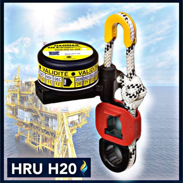 photo6057352378421718565